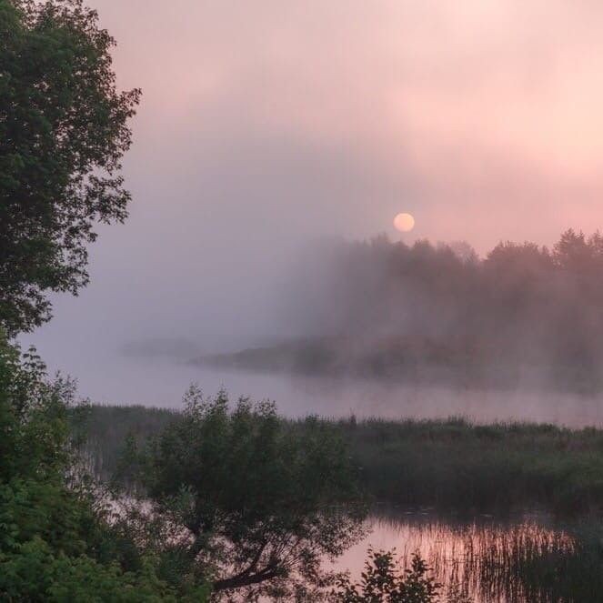 Create meme: mist over the lake, misty dawn, nature fog