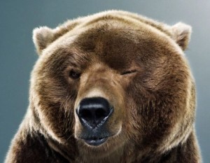 Создать мем: bear, медведь арт, веселый медведь
