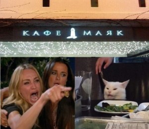 Create meme: meme the cat and two girls, the meme with the cat at the table, woman yelling at a cat meme