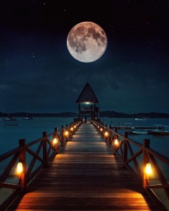 Create meme: night landscape, night landscape with the moon