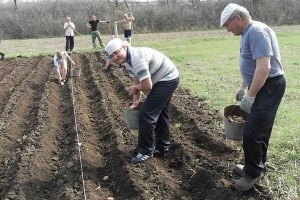 Создать мем: в деревне люди сажают картофель, сеют морковь, свёклу., копать картошку, посадка картошки картинки