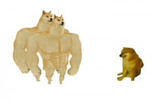 Create meme: buff doge, Jock the dog and you learn the pattern, Mamma dog