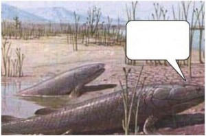 Создать мем: первые наземные животные, девонский период, Рыба