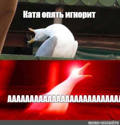 Опять катя