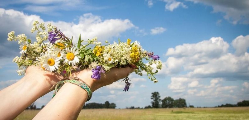 Create meme: summer , a field bouquet in your hands, wreath of wild flowers