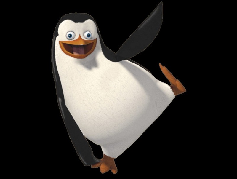 Create meme: Ensign penguins from madagascar, skipper the penguins of Madagascar, penguin from Madagascar