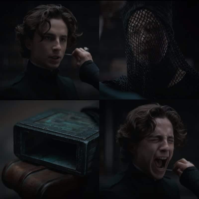 Create meme: paul atreides, dune , a frame from the movie