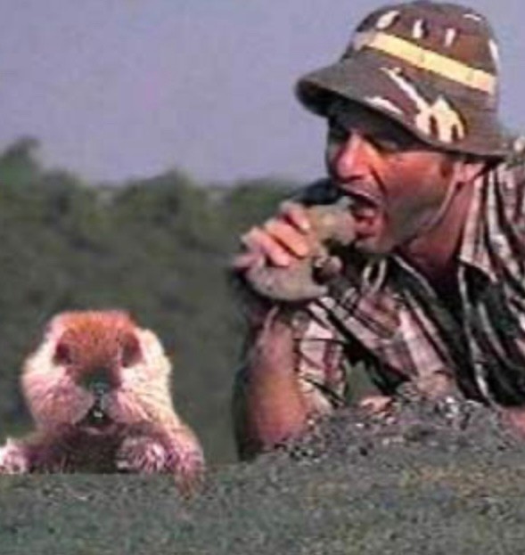 Создать мем: gopher caddyshack, bill murry, суслик евражка