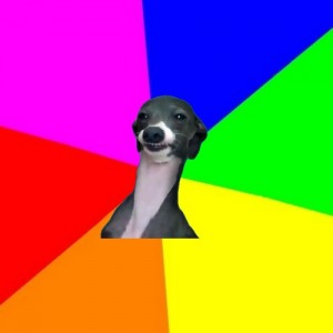 Create meme: rainbow background memes, the dog, rusya memes