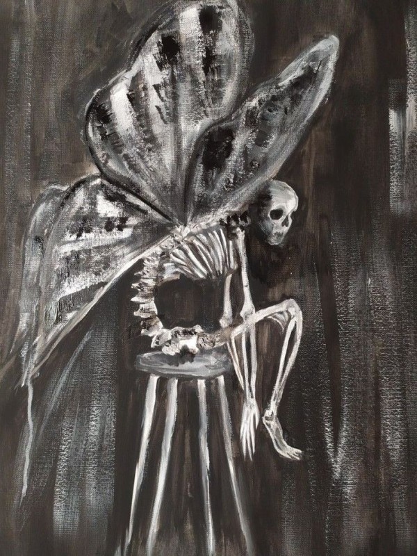 Create meme: figure , The butterfly skeleton, a skeleton with wings