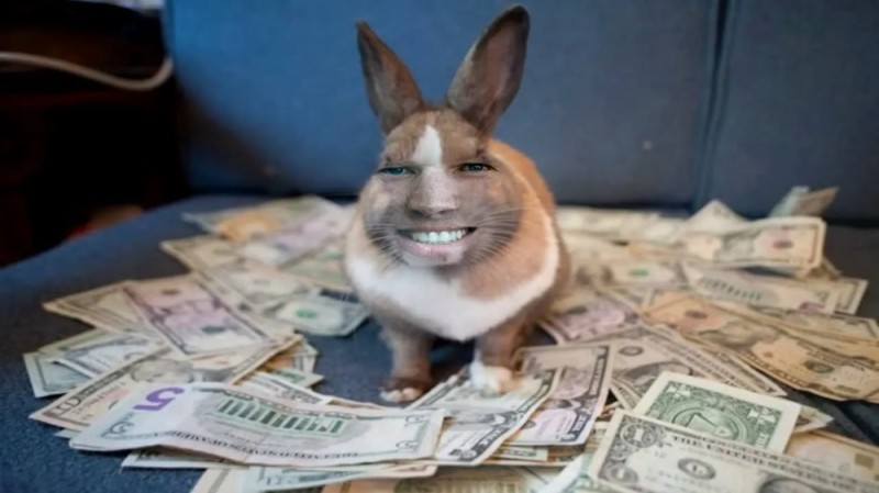 Create meme: The money rabbit, Bunnies are money, The hare with the money