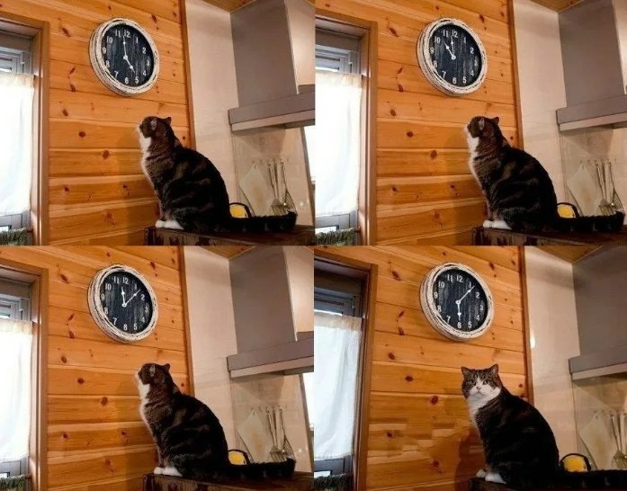 Create meme: It's time for the cat meme, meme cat clock it's time, meme cat clock