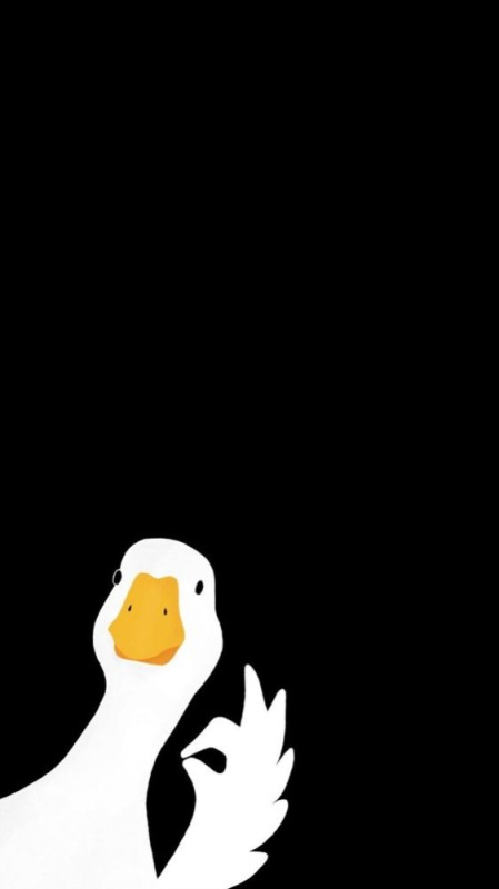 Create meme: duck, geese background, The duck's face