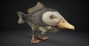 Создать мем: creature, странные животные, duckbill fish