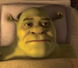 Create meme: Shrek Shrek, Shrek jokes, sad Shrek
