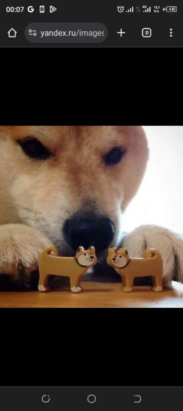 Create meme: Shiba inu bites, dog bites, meme dog bites