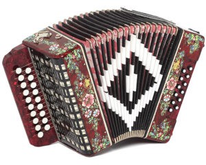 Create meme: accordion seagull 19x12, accordion shuisky chrome, accordion Shuisky accordion