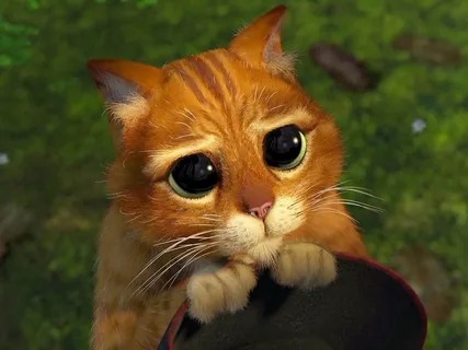 Create meme: cat Shrek eyes, puss in boots cute eyes, The cat from Shrek eyes