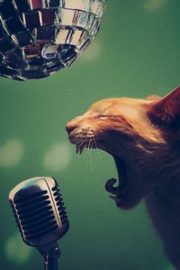 Create meme: cat with microphone, kitty with MIC, the photo of the cat singing