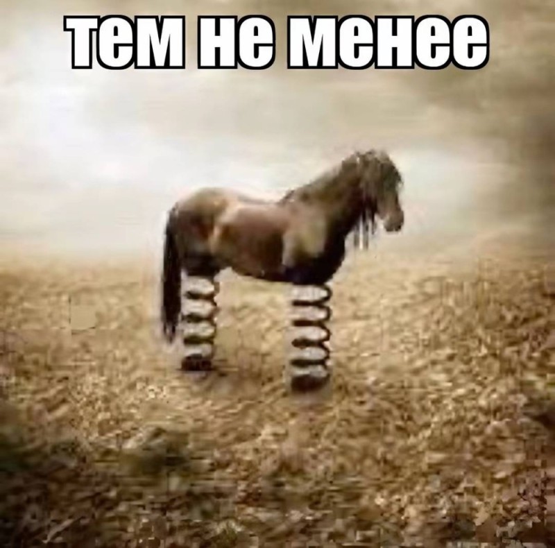 Create meme: zorzi, a zebra/horse hybrid., Horse surrealism, horses