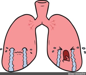 Создать мем: мокрота в легких, легкие клипарт, легкие орган