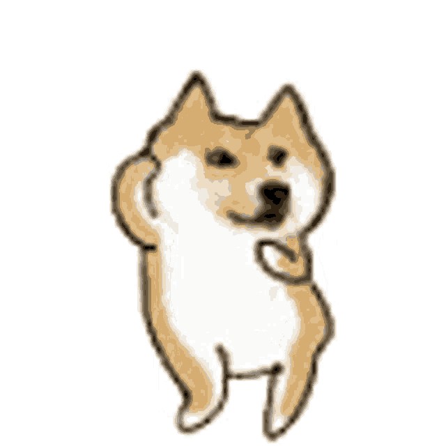 Create meme: shiba inu , Shiba inu doge, Shiba inu 