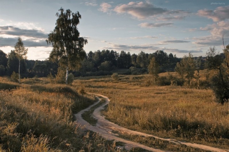 Create meme: landscape , village nature country road, village nature