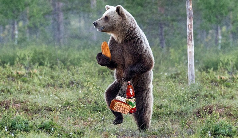 Создать мем: медведь в россии, медведь на задних лапах, медведь гризли