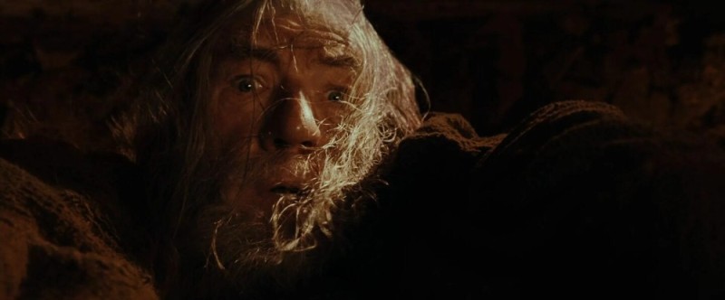 Create meme: lord of the rings run away fools, run you fools , Gandalf the Lord of the rings