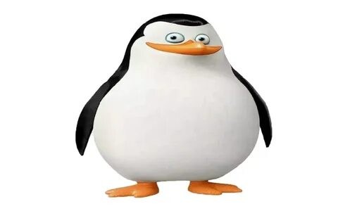 Create meme: the kowalski penguin from madagascar, the penguins of Madagascar Kowalski, private penguins of Madagascar