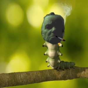 Create meme: caterpillar
