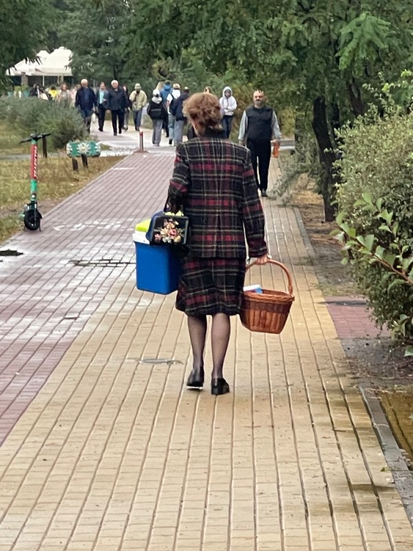 Create meme: grandma with bags, granny with a wheeled bag, Granny with a shopping cart