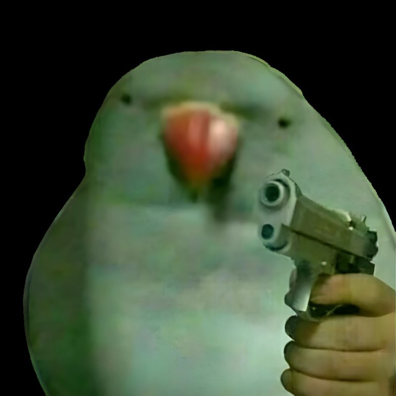 Создать мем: мем попугай с пистолетом, мемы попугаи, попугай мем