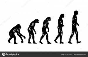 Создать мем: обезьяна рисунок эволюции, эволюция человека, обратная эволюция человека