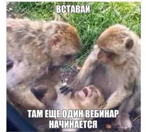 Create meme: let me die in peace monkey, monkey, three monkeys meme