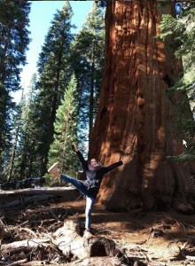 Create meme: Sequoia General Sherman, Sequoia national Park, Park redwoods in America