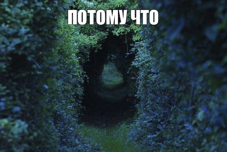 Create meme: rabbit hole aesthetics, nature , Klevan tunnel of love