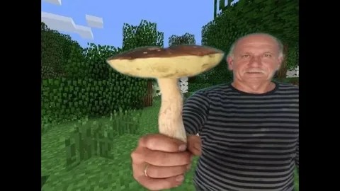 Create meme: will you have a mushroom, shitpost, mushroom 