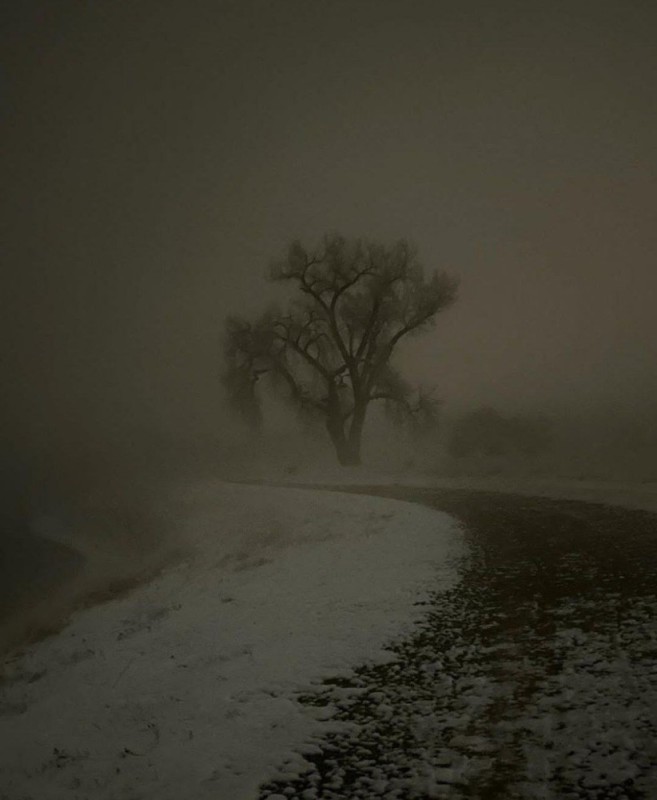 Create meme: darkness, road , in the fog