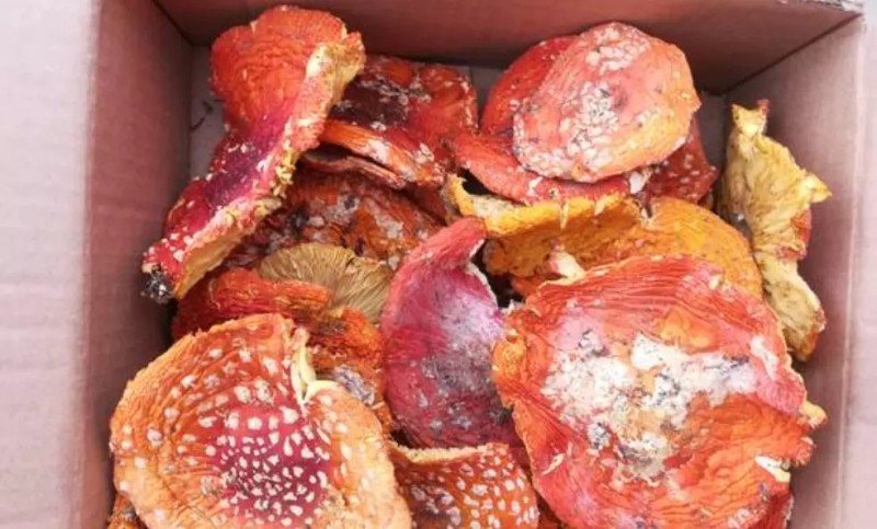 Создать мем: сушка мухоморов, сухой мухомор красный amanita muscaria, шляпки мухомора сушеные