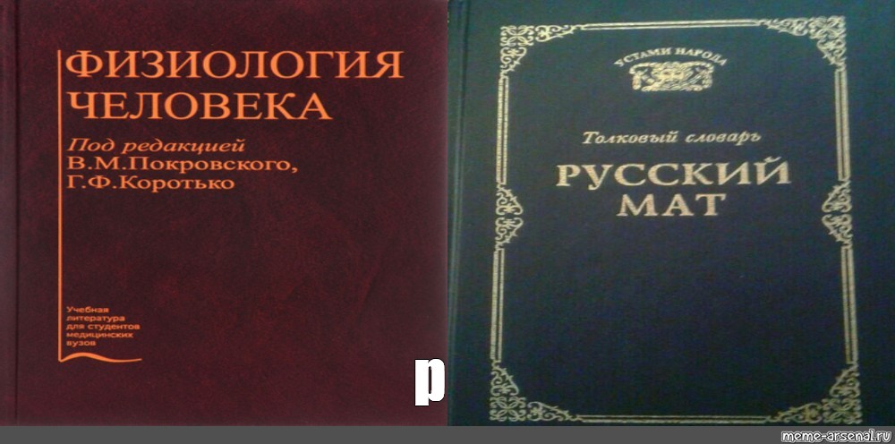 Книга на матах. Книга русский мат Толковый словарь. Русский мат обложка книги. Толковый словарь мата.