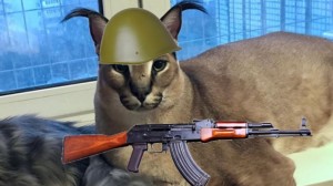 Создать мем: шлёпа русский кот кубик аригаим, русский кот, каракал