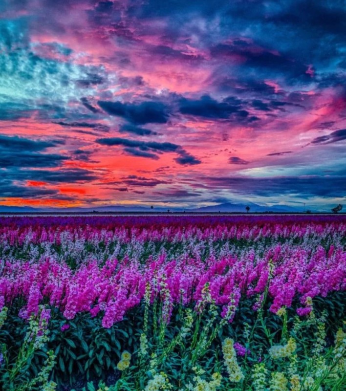 Create meme: purple sunsets, lilac sunset, purple landscapes