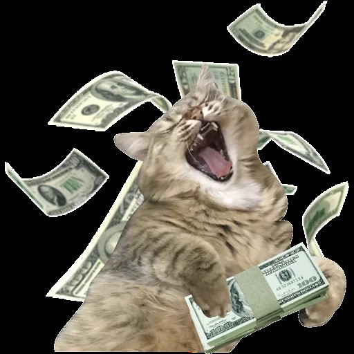 Создать мем: кот с деньгами мем, богатый кот, кот деньги