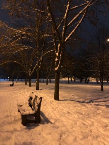 Создать мем: снег зима, зимний вечер в москве, зима парк