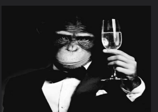 Create meme: chimpanzee with a glass, meme gentleman with a glass of, A chimpanzee in a suit with a glass