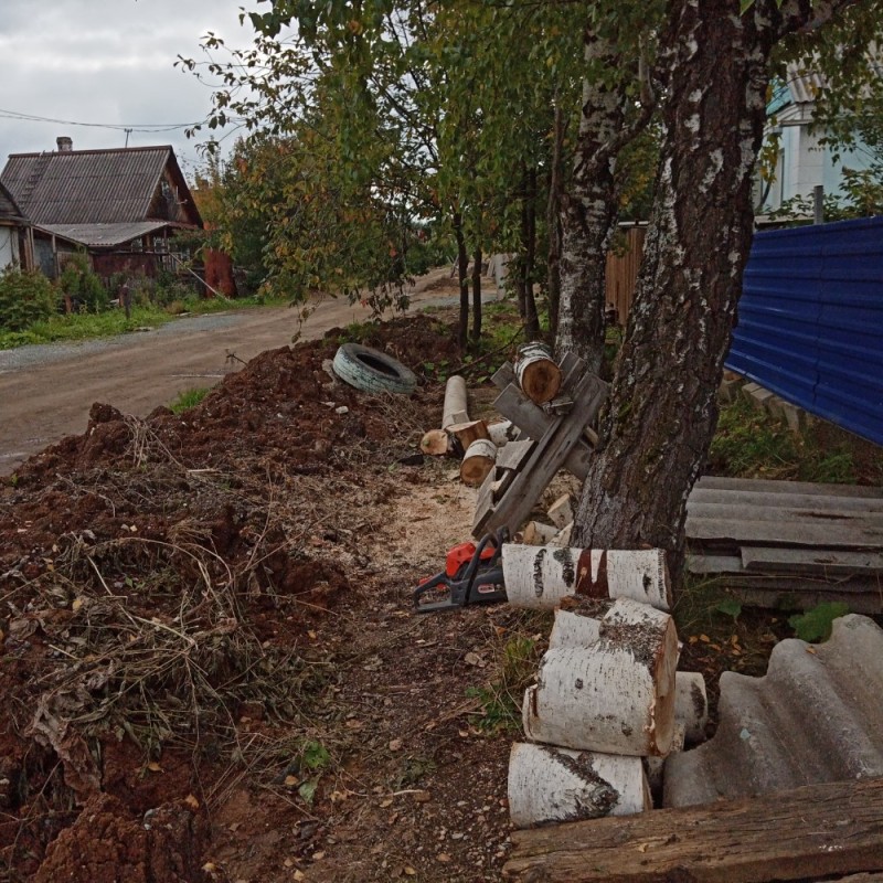 Create meme: cross-section of a tree , Koptelovo Sverdlovsk region Museum, the road to the country