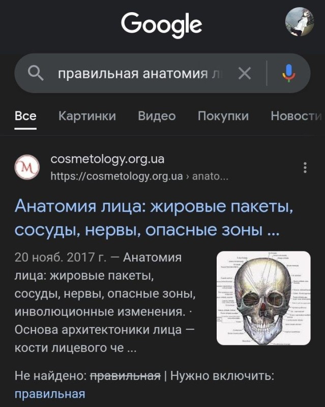 Create meme: face anatomy, anatomy of the skull bones, screenshot 