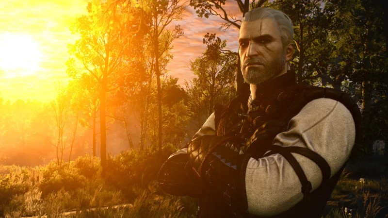 Create meme: The Witcher 3: Wild Hunt, CRIS Witcher 3, geralt the witcher 3
