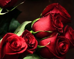 Create meme: I wish you all love, happy birthday roses, roses